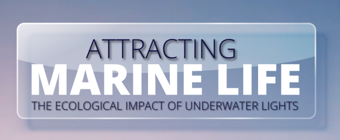 Attracting Marine Life: The Ecological Impact of Underwater Lights