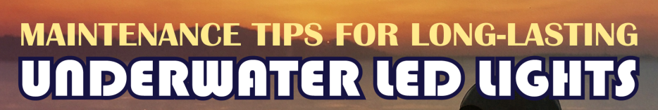Maintenance Tips for Long-Lasting Underwater LED Lights - Infograph