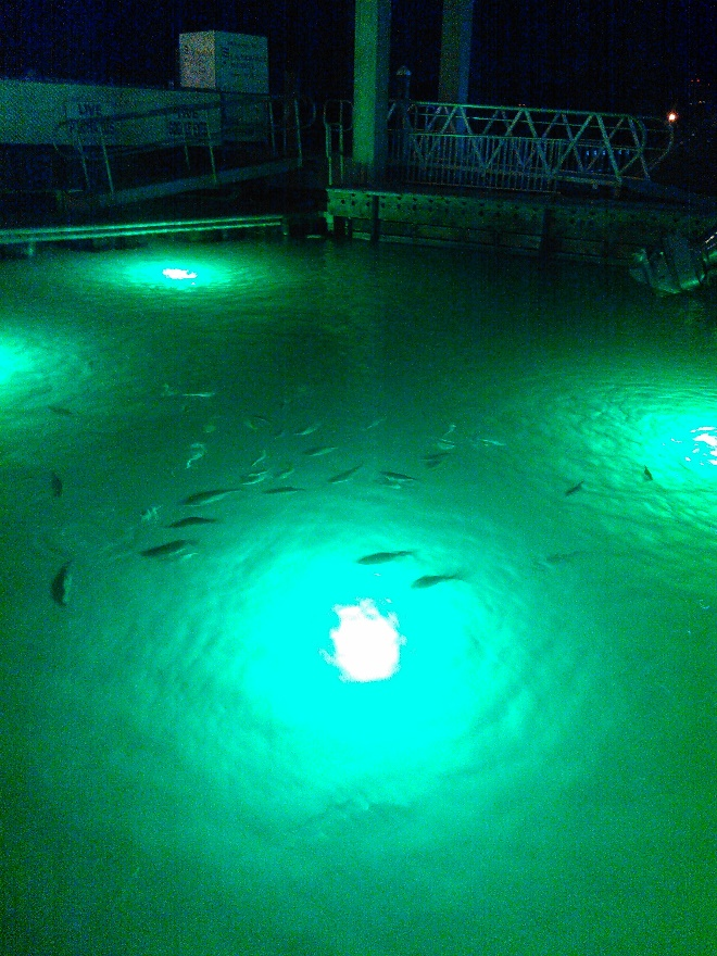 green LED light