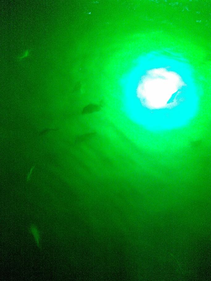 LED Underwater Dock Lights