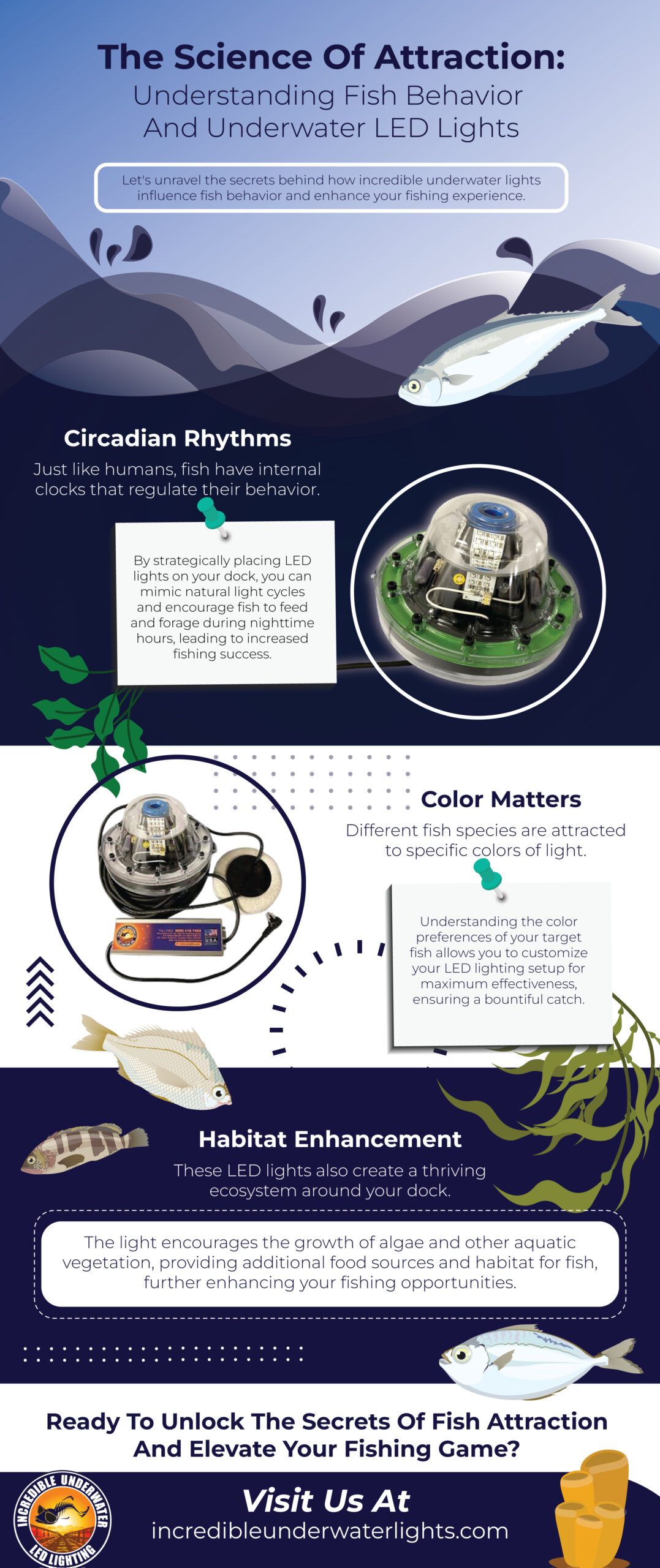 The Science Of Attraction: Understanding Fish Behavior And Underwater LED Lights - Infograph