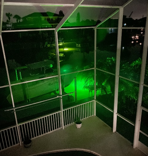 A well-lit fishing dock with green LED underwater lights at night.