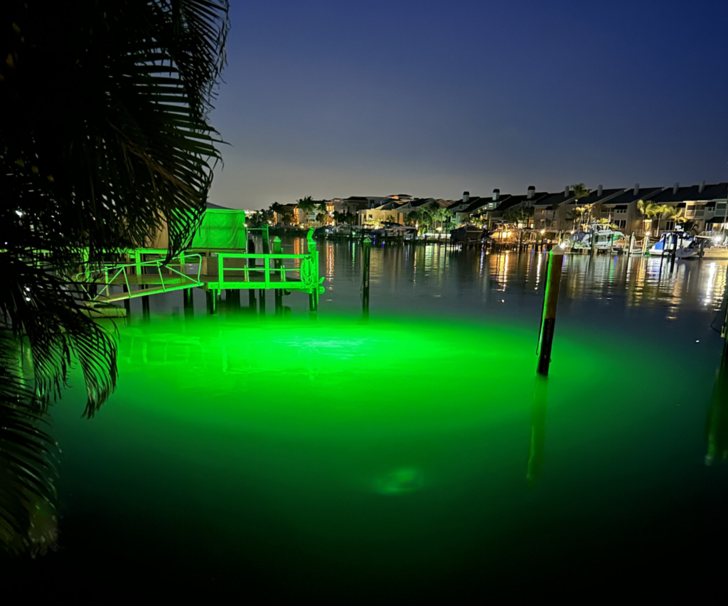 Underwater LED light illuminated in water next to a dock