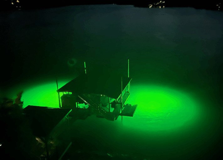 water illuminated by underwater lights