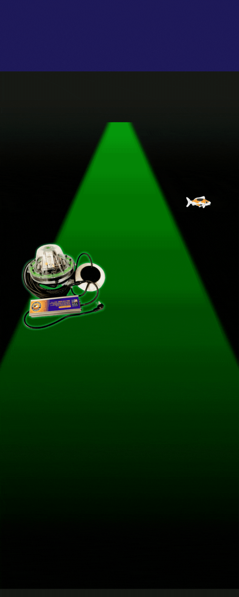 Infographic showcasing DIY ideas for adding underwater glow to lakes using green LED dock lights. Includes sections on light types, installation, creative placement, and safety maintenance tips to help homeowners enhance their waterfront ambiance and attract fish at night.