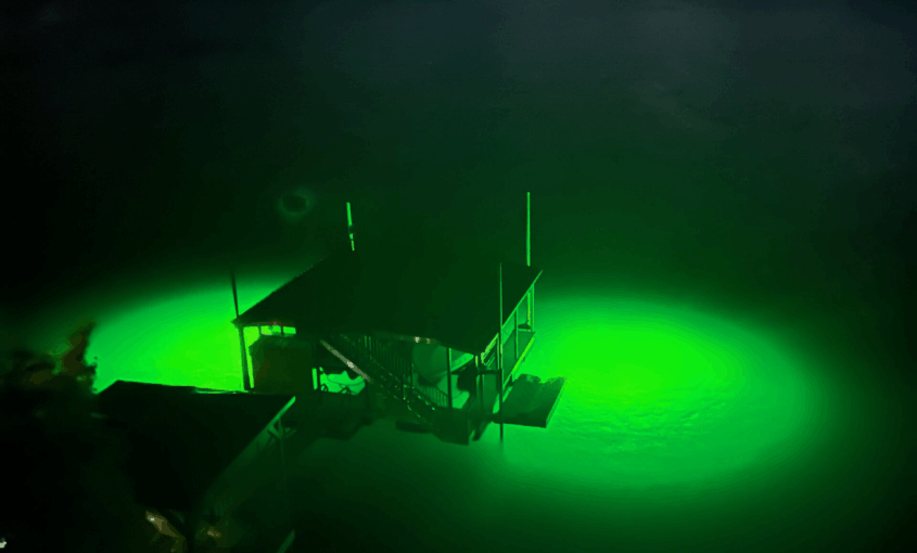 water illuminated by underwater lights