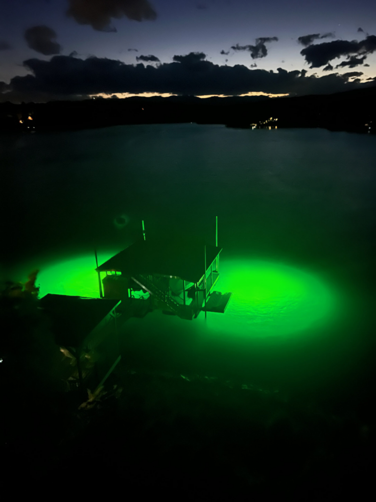 water illuminated by underwater lights
