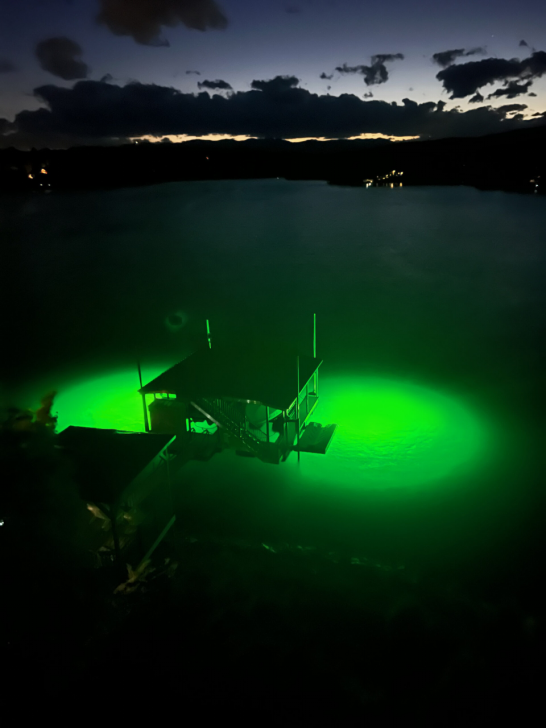 water illuminated by underwater lights